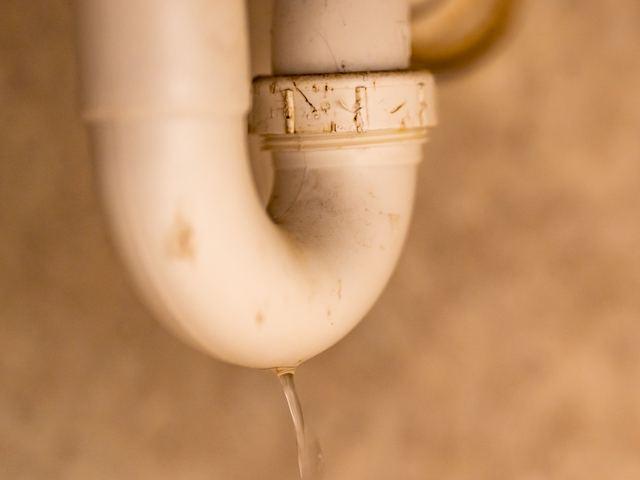 Tenant photo of a dripping P-trap under a kitchen sink